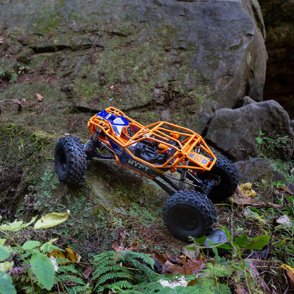 Axial 1/10 RBX10 Ryft 4X4 RTR Brushless Rock Bouncer