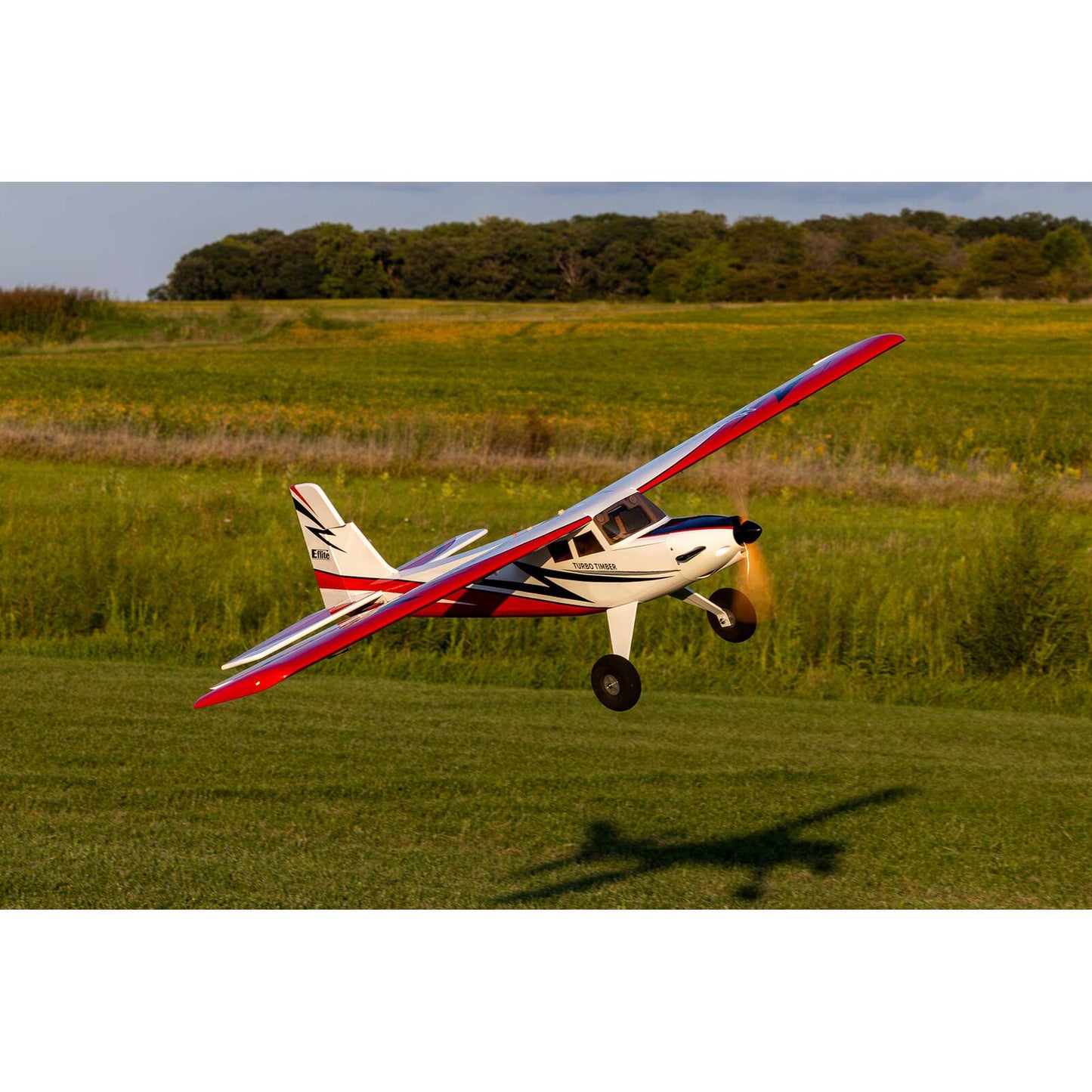 E-flite Turbo Timber SWS 2.0m ARF