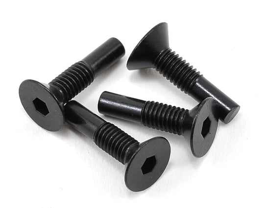 Front Outer Hinge Pin Screw (4): Twin Ha